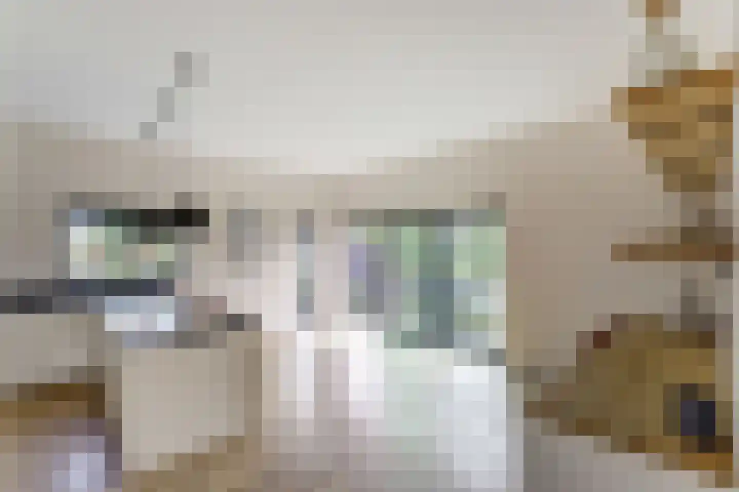 Botterlaan 67 Kortgene thumbnail 10