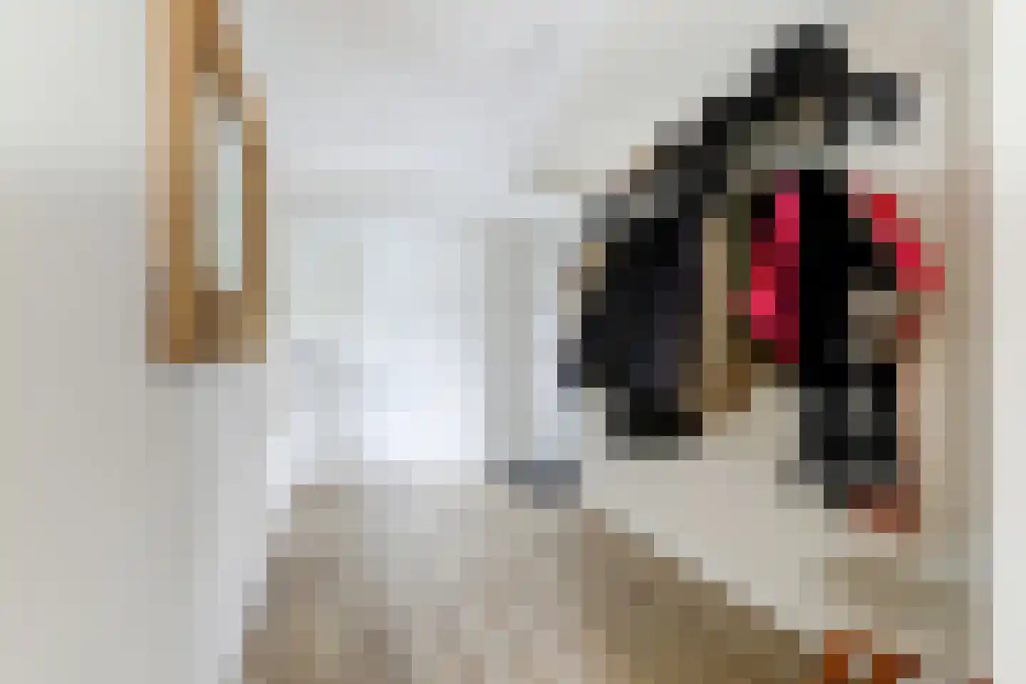 Botterlaan 67 Kortgene thumbnail 30