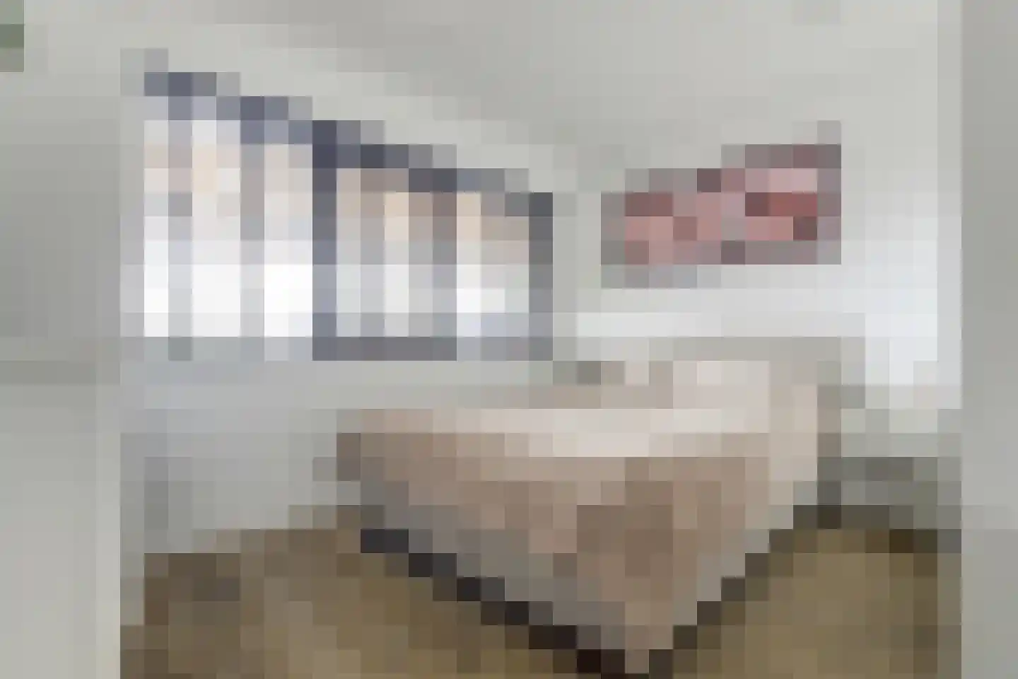Botterlaan 67 Kortgene thumbnail 36