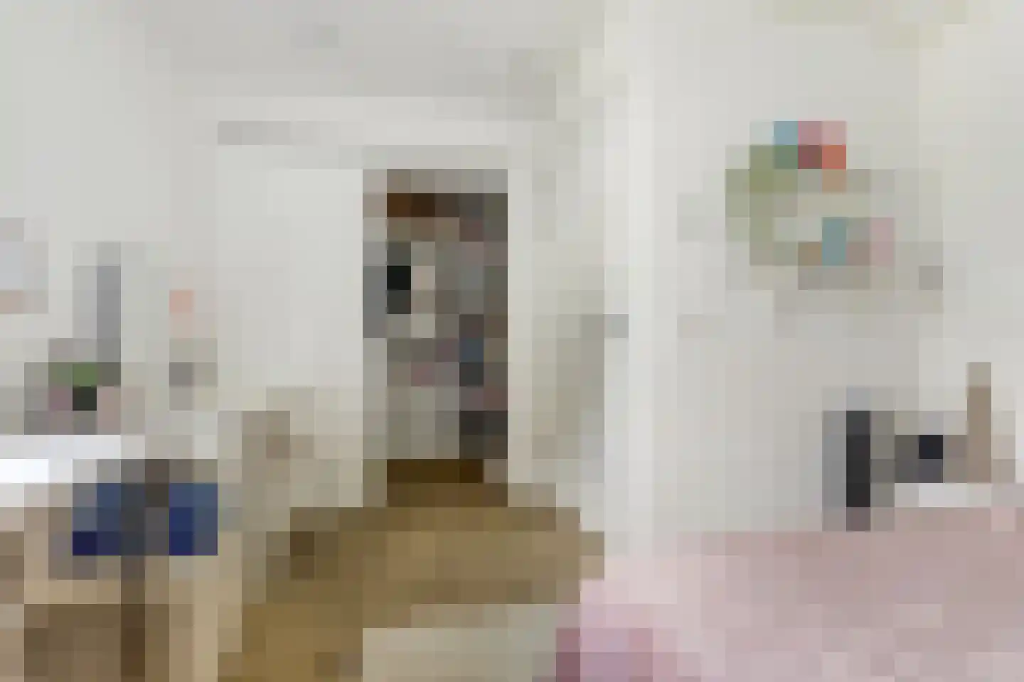 Botterlaan 67 Kortgene thumbnail 37