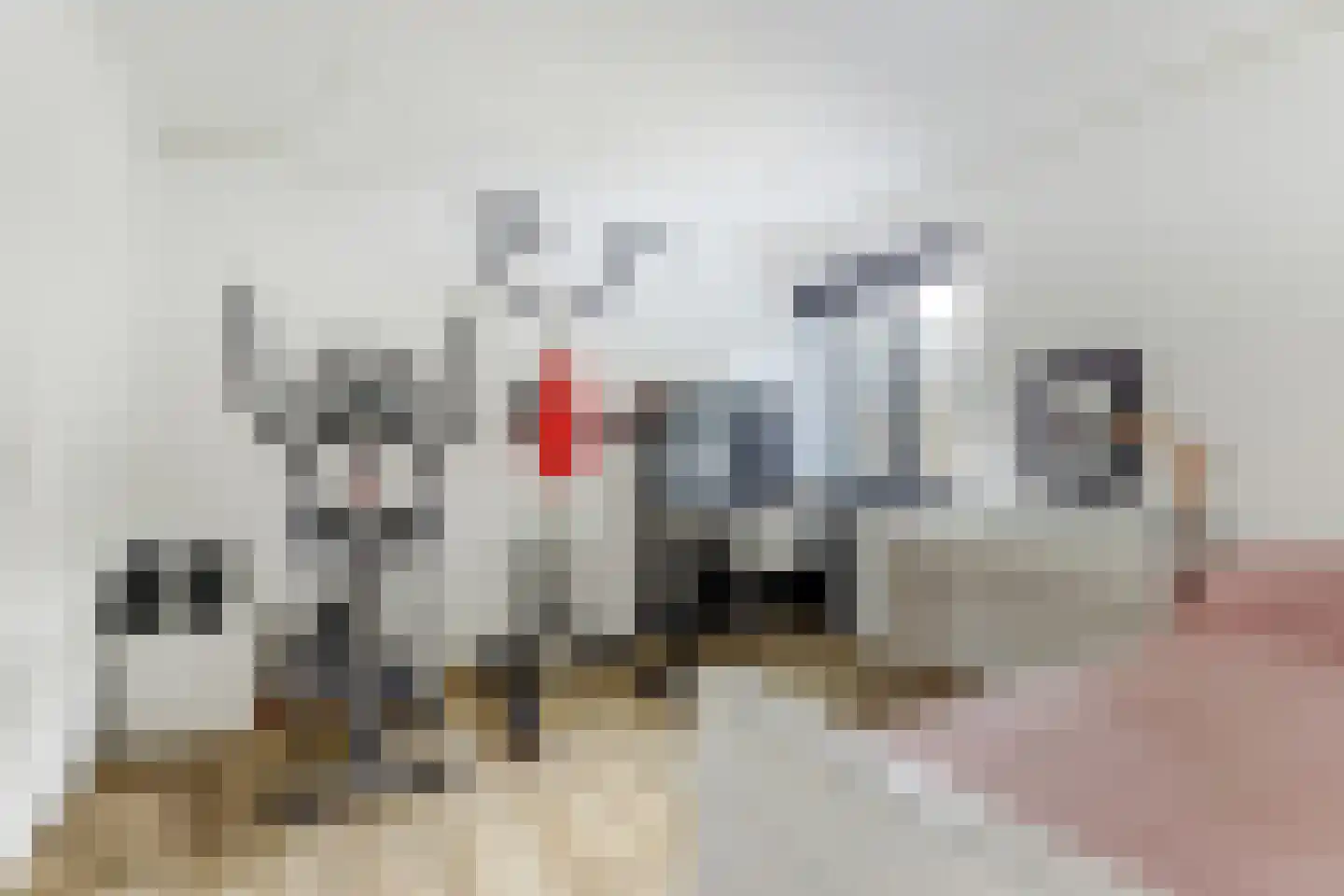 Botterlaan 67 Kortgene thumbnail 38