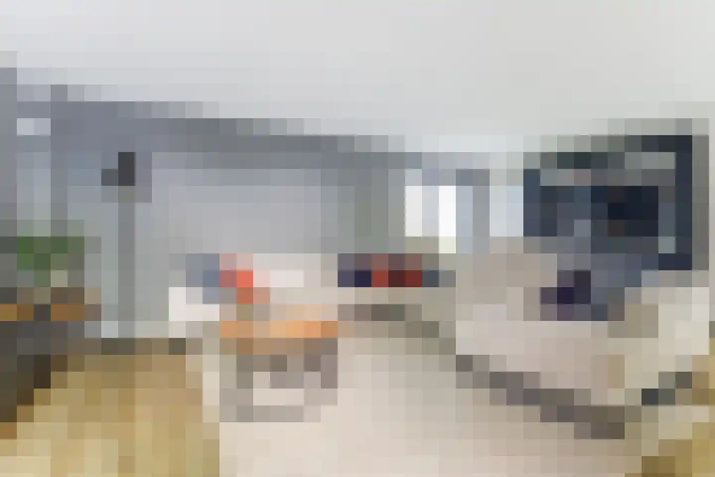 Botterlaan 67 Kortgene thumbnail 6