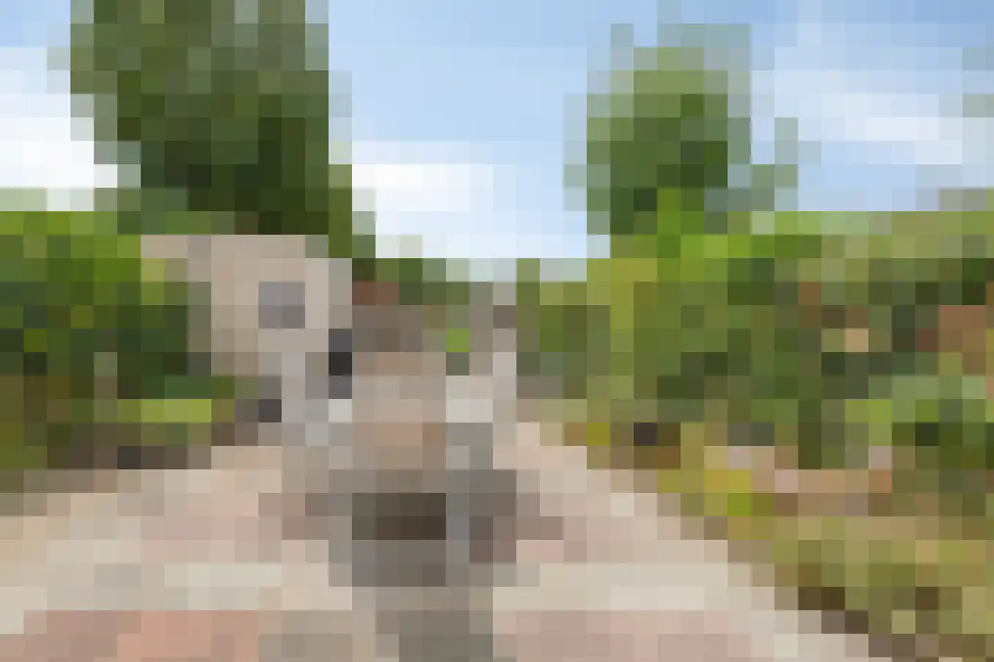Botterland 135 Zevenaar thumbnail 32
