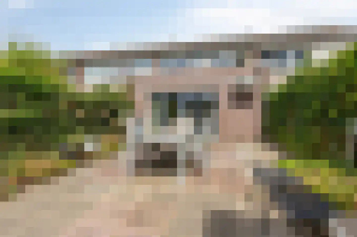 Botterland 135 Zevenaar thumbnail 35