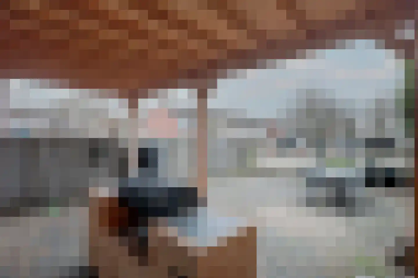 Botterland 78 Zevenaar thumbnail 21
