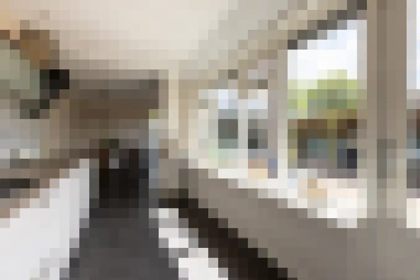Botterstraat 13 Makkum thumbnail 10