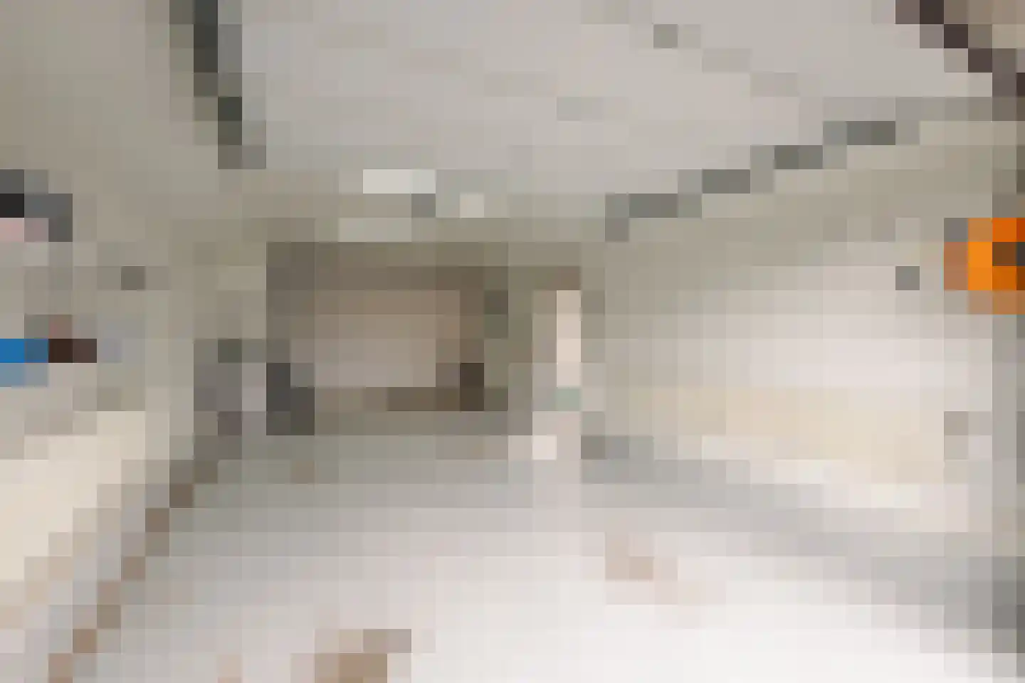 Botterstraat 13 Makkum thumbnail 12