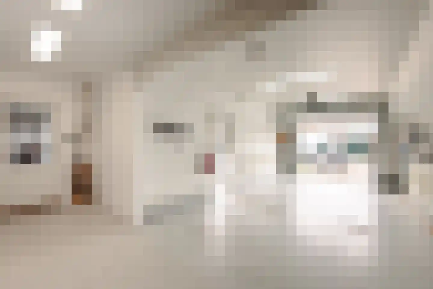Botterstraat 13 Makkum thumbnail 13