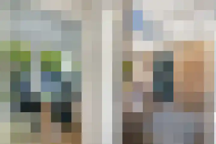 Botterstraat 18 Huizen thumbnail 16
