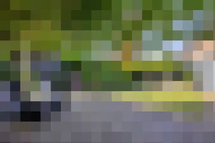 Botterstraat 18 Huizen thumbnail 23