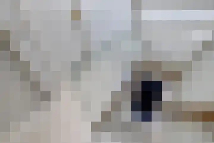 Botterstraat 18 Huizen thumbnail 26