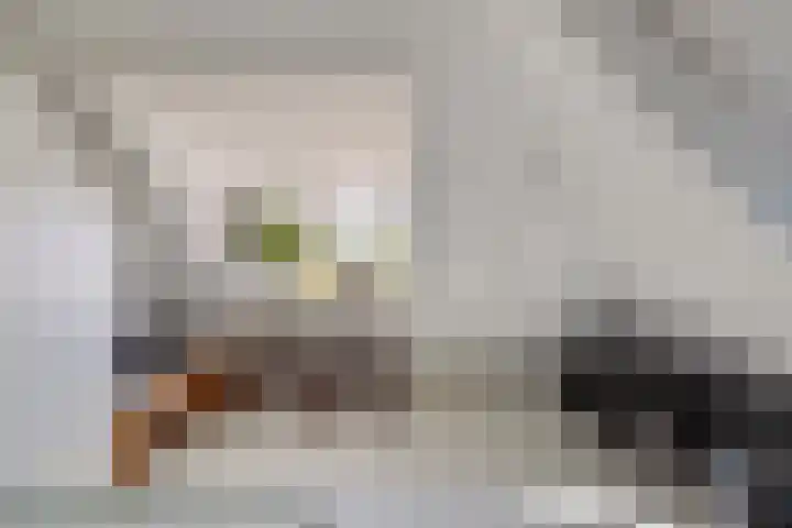 Botterstraat 18 Huizen thumbnail 38