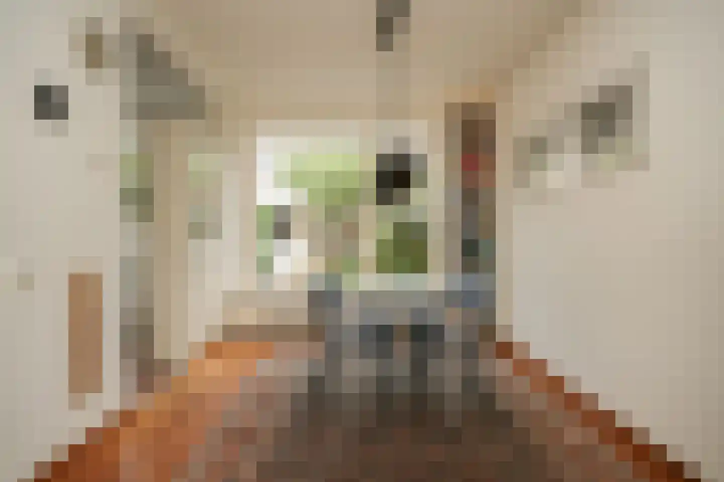 Botterstraat 19 Zaltbommel thumbnail 11