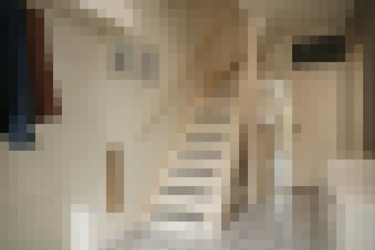 Botterstraat 19 Zaltbommel thumbnail 16