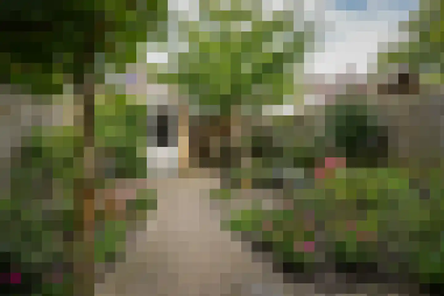 Botterstraat 19 Zaltbommel thumbnail 34