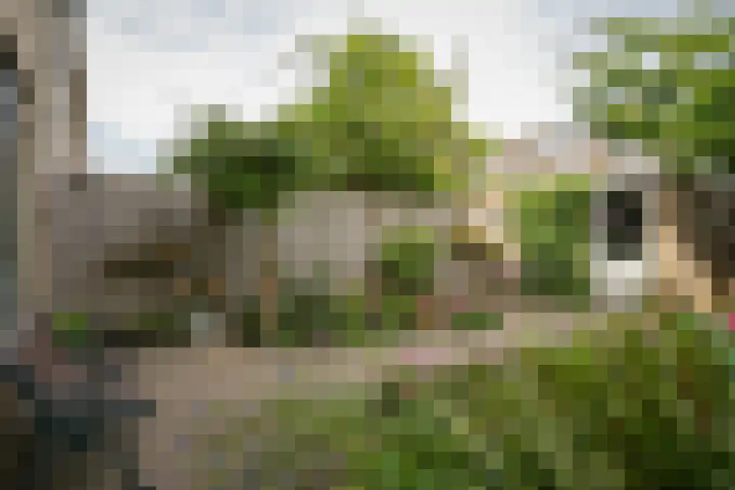 Botterstraat 19 Zaltbommel thumbnail 36