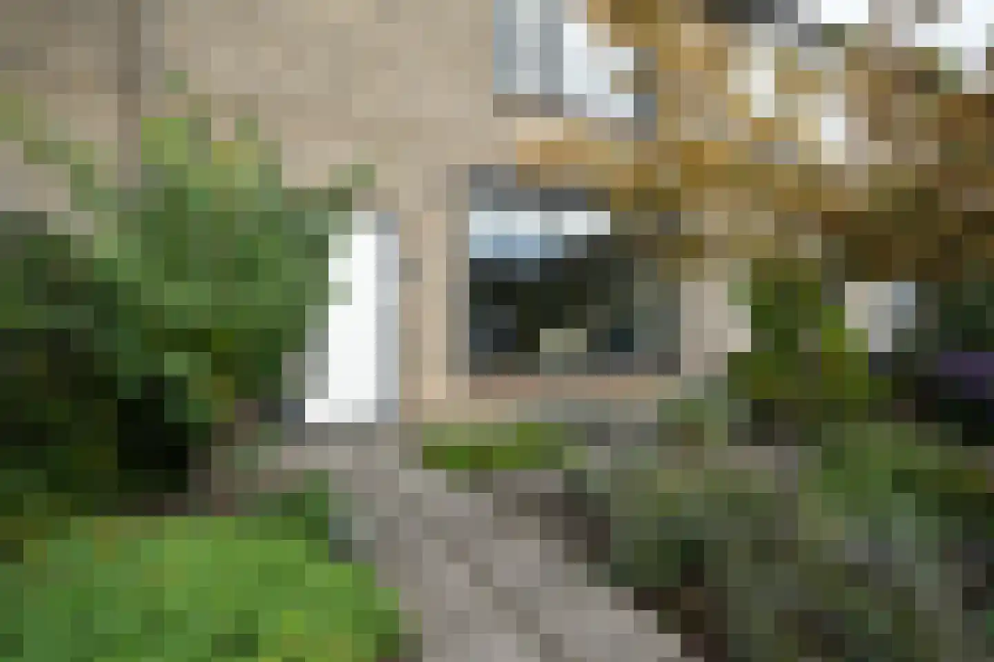 Botterstraat 19 Zaltbommel thumbnail 37