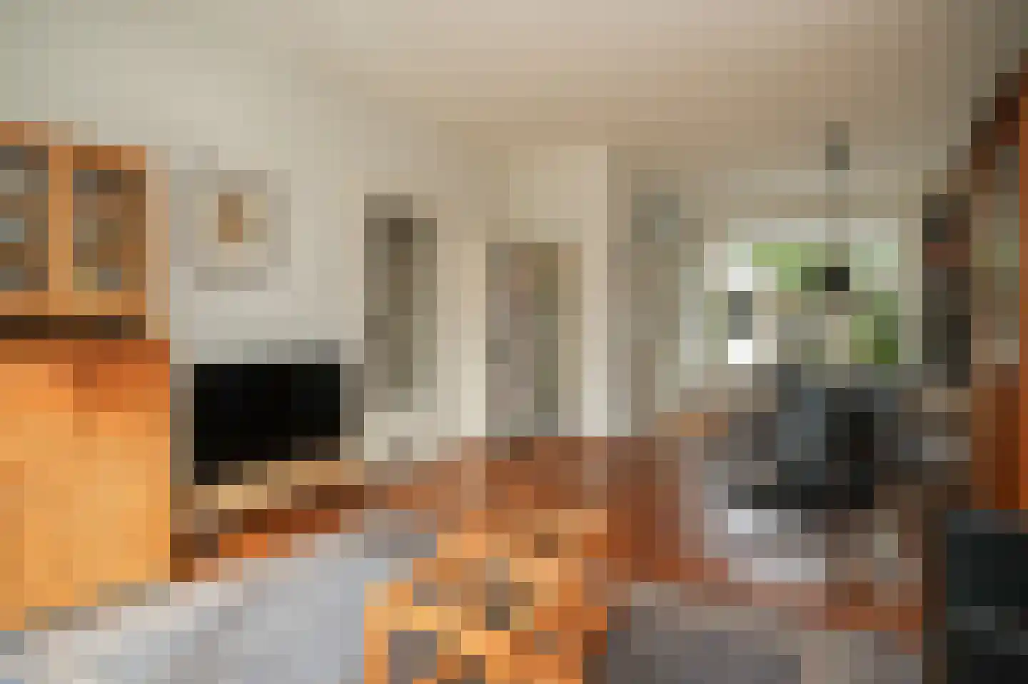 Botterstraat 19 Zaltbommel thumbnail 7