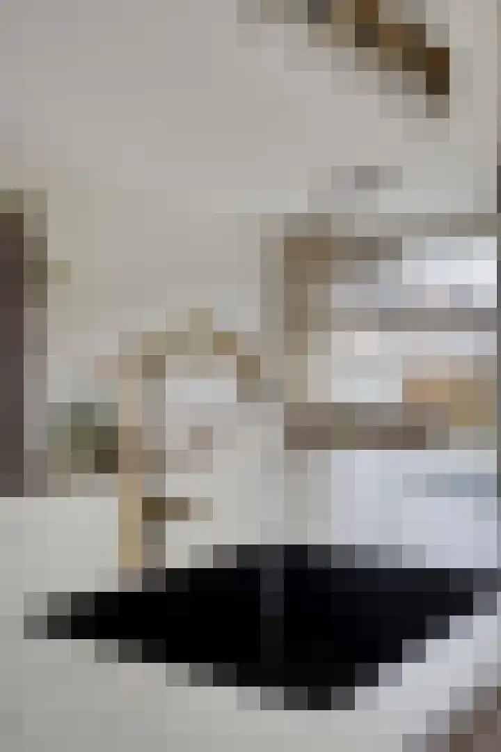 Botterstraat 2 Bruinisse thumbnail 12