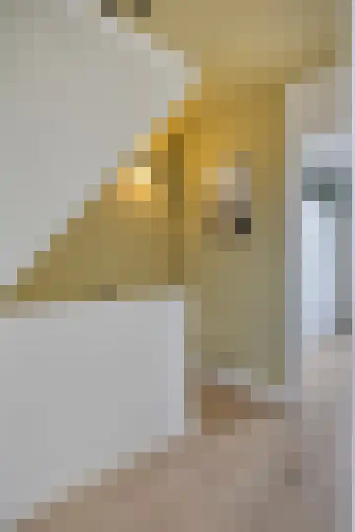 Botterstraat 2 Bruinisse thumbnail 17