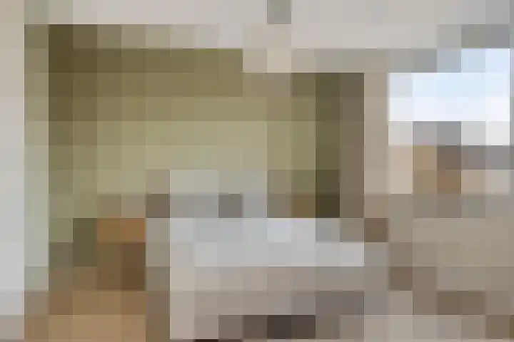 Botterstraat 2 Bruinisse thumbnail 19