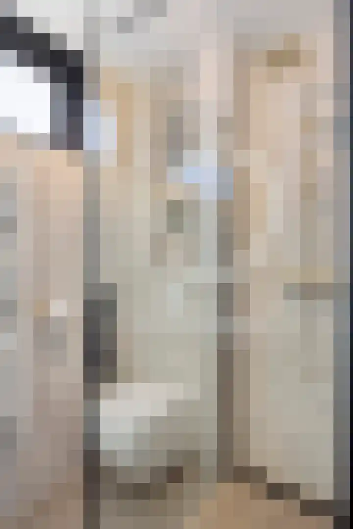 Botterstraat 2 Bruinisse thumbnail 21