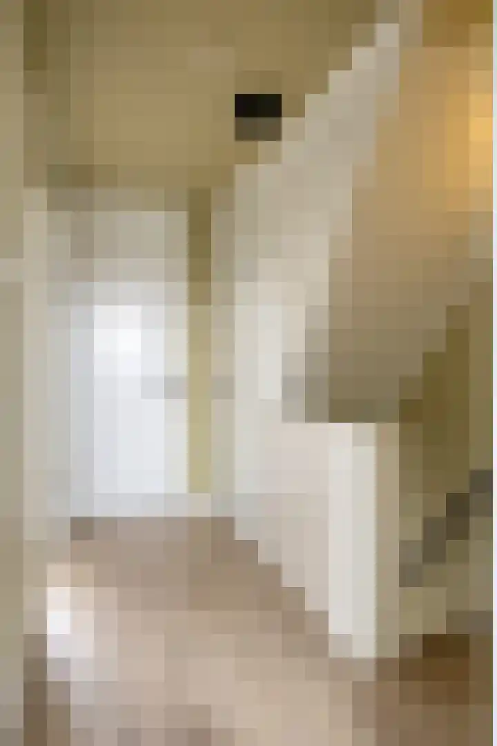 Botterstraat 2 Bruinisse thumbnail 25