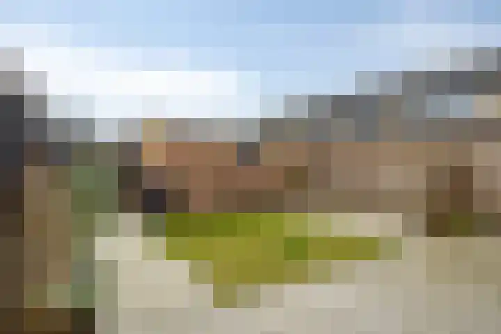 Botterstraat 2 Bruinisse thumbnail 31