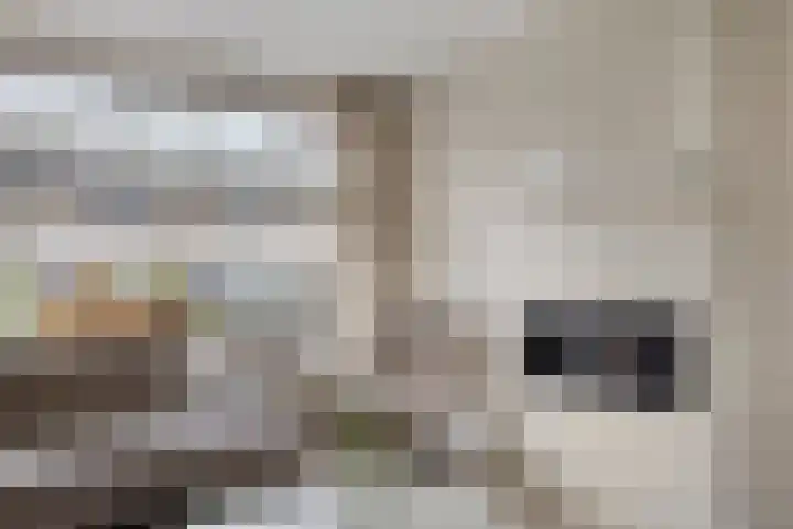 Botterstraat 2 Bruinisse thumbnail 6