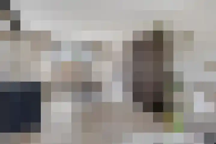 Botterstraat 2 Bruinisse thumbnail 8