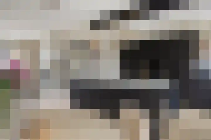 Botterstraat 2 Bruinisse thumbnail 9
