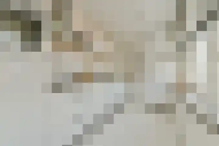 Botterstraat 200 Amsterdam thumbnail 11