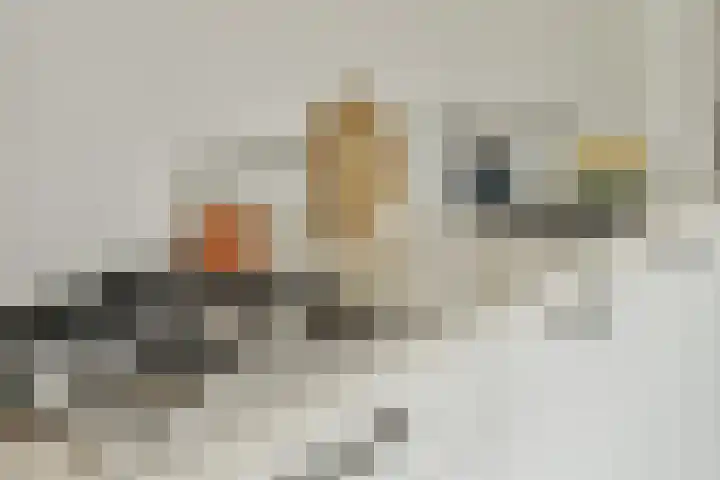 Botterstraat 200 Amsterdam thumbnail 12
