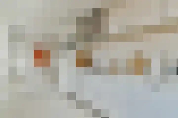 Botterstraat 200 Amsterdam thumbnail 13