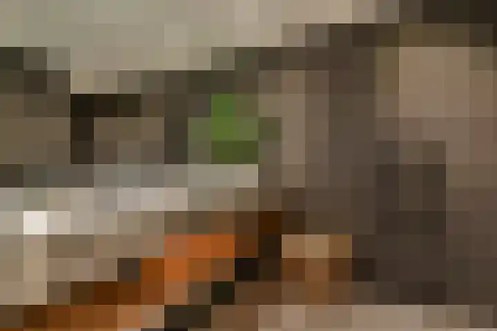 Botterstraat 200 Amsterdam thumbnail 17