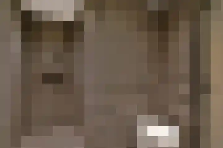 Botterstraat 200 Amsterdam thumbnail 18
