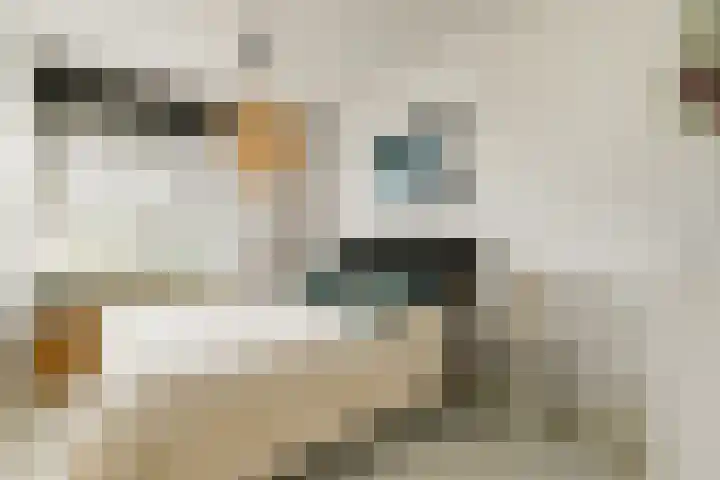 Botterstraat 200 Amsterdam thumbnail 22