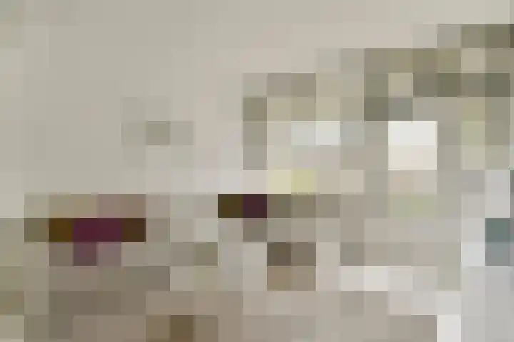 Botterstraat 200 Amsterdam thumbnail 5