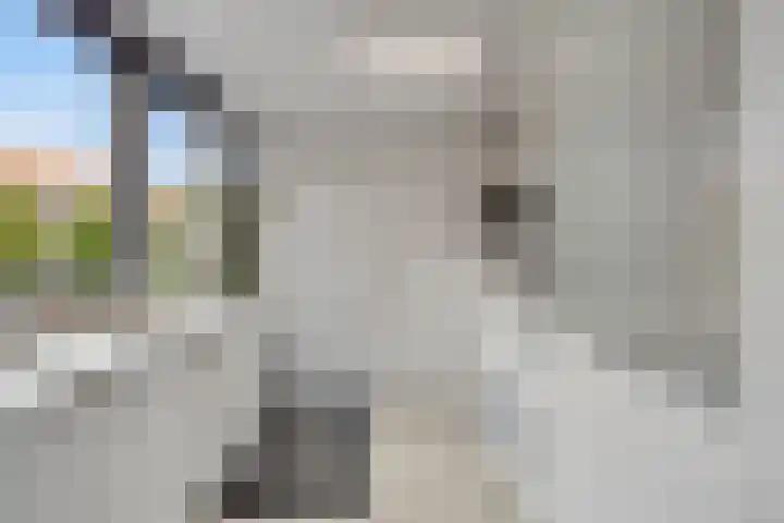 Botterstraat 22 Emmeloord thumbnail 18