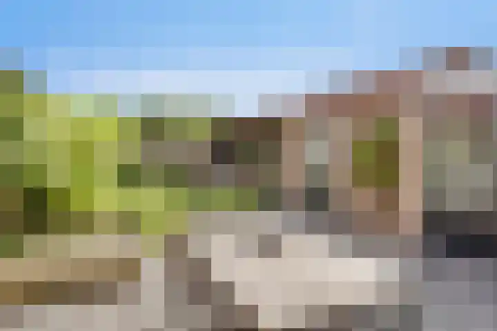 Botterstraat 22 Emmeloord thumbnail 35