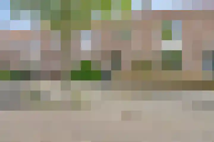 Botterstraat 22 Emmeloord thumbnail 47