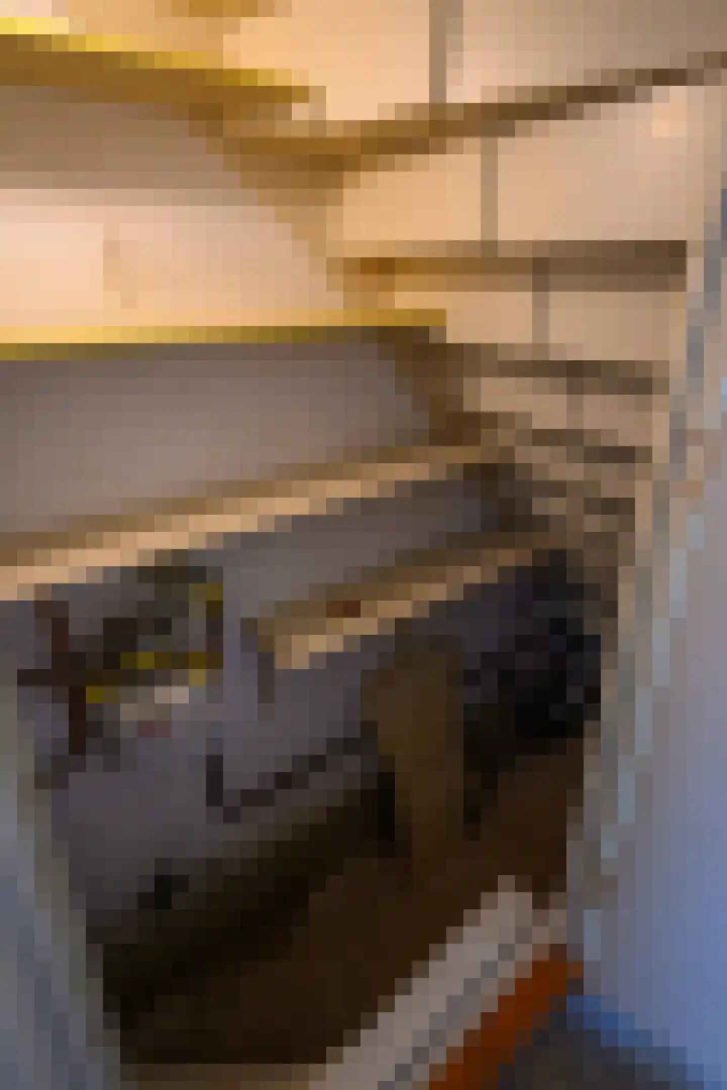 Botterstraat 23 Emmeloord thumbnail 10