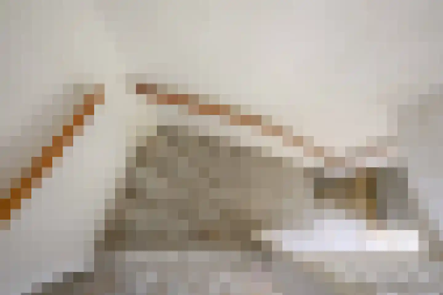 Botterstraat 23 Emmeloord thumbnail 35