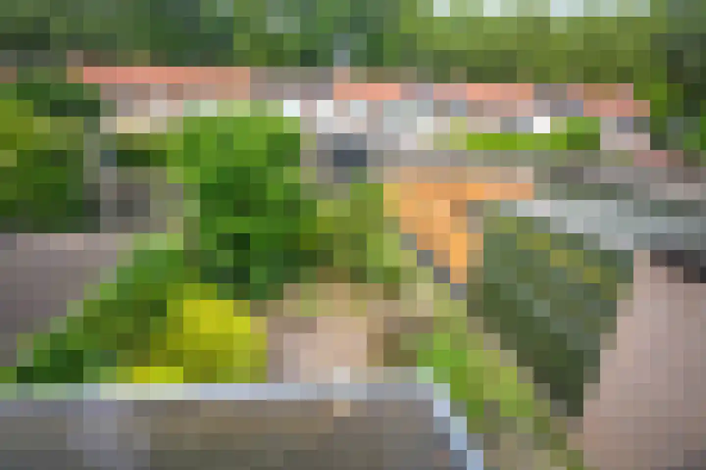 Botterstraat 23 Emmeloord thumbnail 36