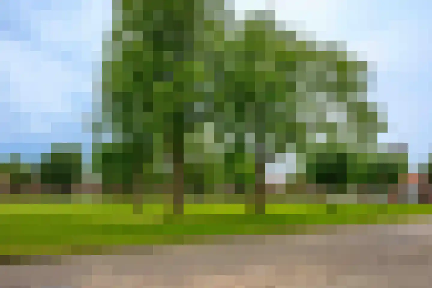 Botterstraat 23 Emmeloord thumbnail 41