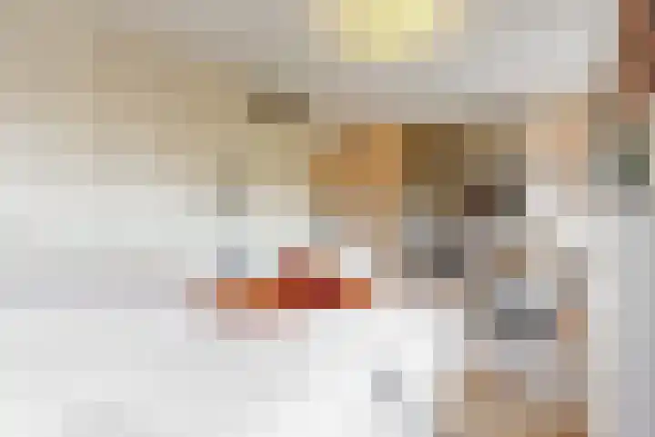 Botterstraat 28 Lisse thumbnail 17