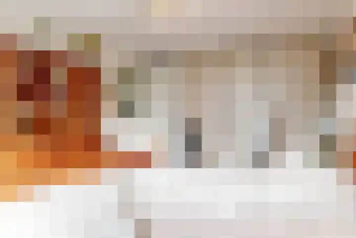 Botterstraat 28 Lisse thumbnail 19