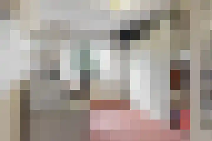 Botterstraat 28 Lisse thumbnail 20