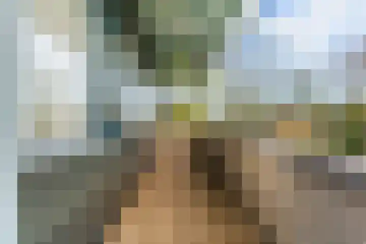 Botterstraat 28 Lisse thumbnail 33