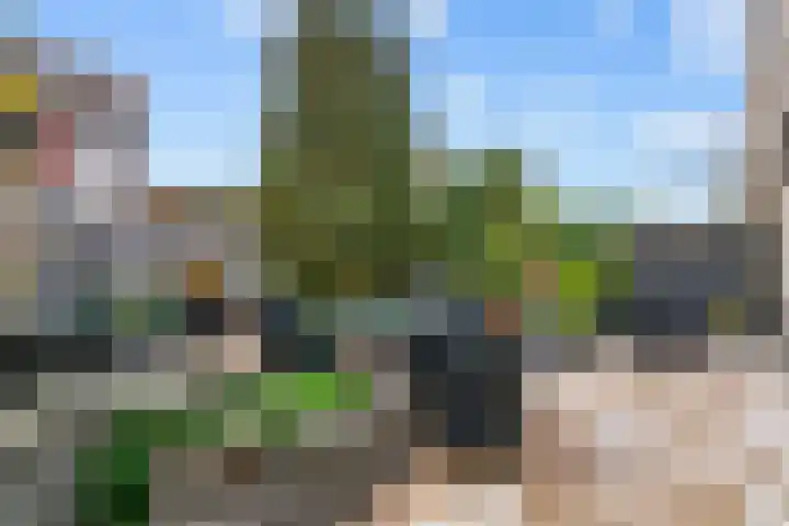 Botterstraat 28 Lisse thumbnail 36
